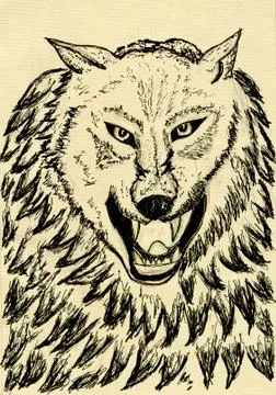 Abstract Wolf Sketch Stock Illustration