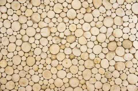 Abstract wood circle patterns.Concept background. Stock Photos
