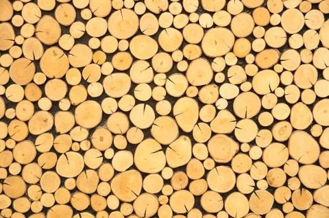 Abstract wood circle patterns.Concept background. Foto stock