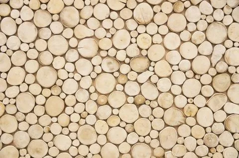 Abstract wood circle patterns.Concept background. Stock Photos