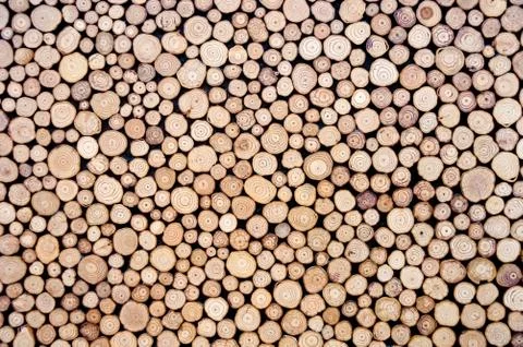 Abstract wood circle patterns.Concept background. Stock Photos