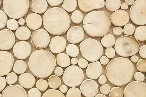 Abstract wood circle patterns.Concept background. Stock Photos