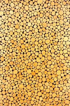 Abstract wood circle patterns.Concept background. Stock Photos