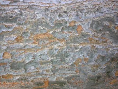 Abstract Wood color pattern. Stock Photos