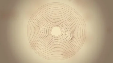 Abstract wood grain circle pattern, retro sepia tone, texture background Stock Footage 347560796