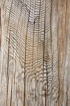 Abstract wood pattern background. Photos