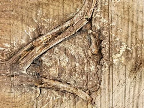 Abstract wood pattern Stock Photos