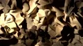 Abstract wood shavings paper cloth pulsating background backdrop HD Footage