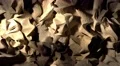 Abstract wood shavings paper cloth pulsating background backdrop 4K 4k or 4k+ Resolution