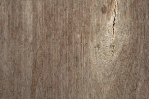 Abstract wood texture and  background Stock Illustration