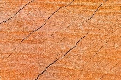 Abstract wood texture Stock Photos