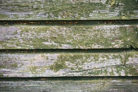 Abstract wood texture Stock Photos