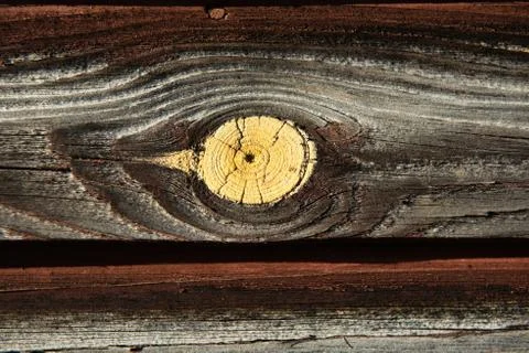 Abstract wood texture Stock Photos
