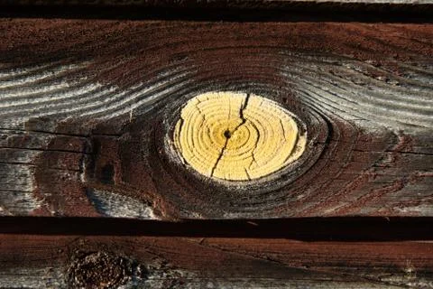 Abstract wood texture Stock Photos