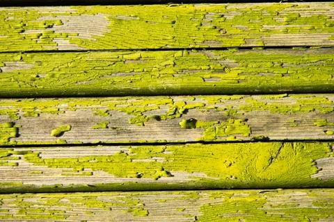 Abstract wood texture Stock Photos