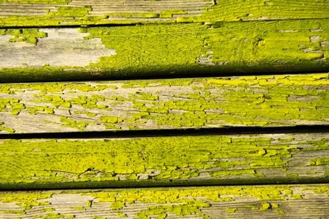 Abstract wood texture Stock Photos