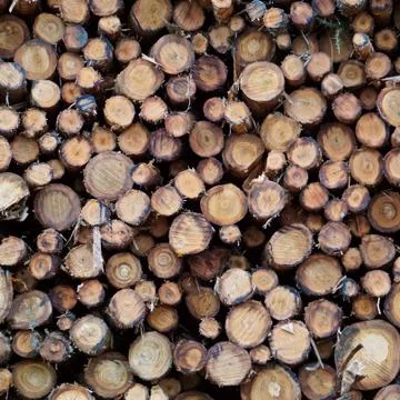 The abstract wooden texture pattern Stock Photos