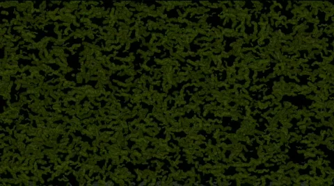 Abstract worms egg ephemera plankton feed design pattern vision background. Stock Footage 810856