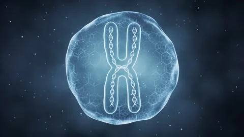 Abstract x chromosome with dna double helix inside cell membrane on dark ba.. Stock Footage 332222039