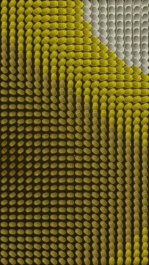 Abstract Yellow and White Pattern Background, Dynamic Flowing Shapes, Geome.. Stock Footage 347699123