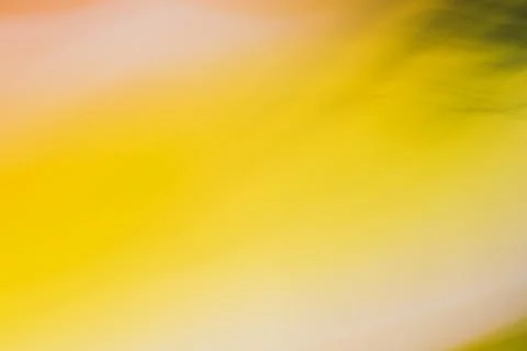 Abstract yellow background with smooth lines and gradient. Summer sunny mood. 写真素材