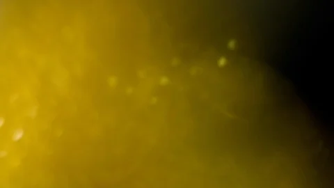 Abstract yellow bokeh lights, subtle and sparkly on a background Stock Footage 125649334