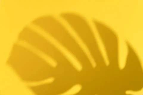 Abstract yellow clean background with shadow from monstera leaves. Gray shadow Stock Photos