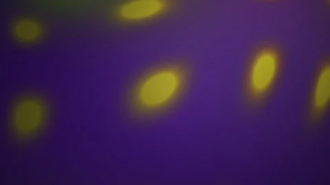 Abstract yellow disco lights bokeh effect rotating on purple background. Stock Footage 346356021