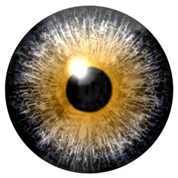 Abstract yellow eye isolated on white Stock Illustration