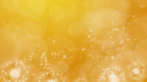 Abstract yellow looped dandelion background. The wind blows dandelion seeds. 스톡 동영상 280987060