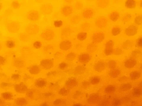 Abstract Yellow Orange Texture Background with Organic Pattern Stock Illustration