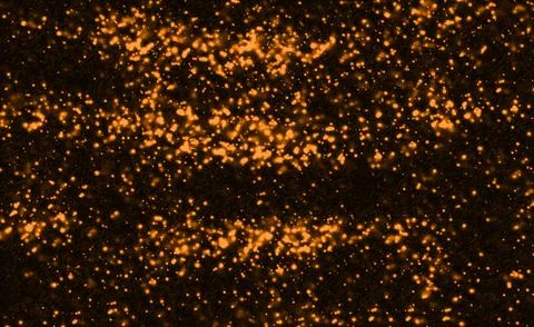 Abstract yellow particles floating and glowing softly on a black background.. Illustrazione stock