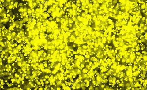 Abstract yellow particles floating and glowing softly on a black background.. Stock Illustration