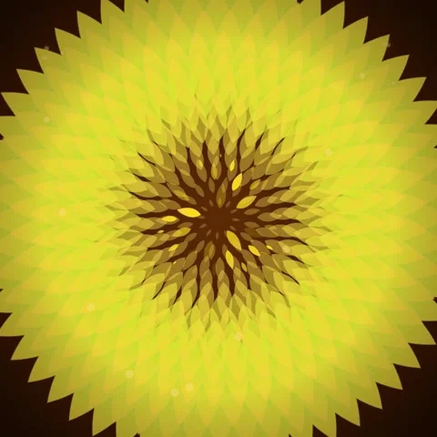 Abstract Yellow Sunflower Bloom Geometric Pattern Animation Stock Footage 346282480