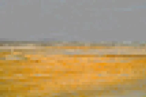 Abstract yelow background. Stock Illustration