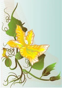 Abstract young pumpkin Stock Illustration