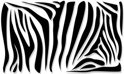 Abstract Zebra Pattern. Ornamental Geometric Pattern. Black and White Animal  Illustrazione stock