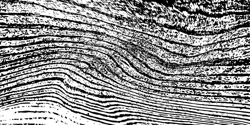 Abstract zebra stripes pattern looks like a tree bark surface texture in bl.. Stock-Illustration