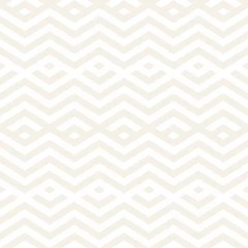 Abstract ZigZag Parallel Stripes. Stylish Ethnic Ornament. Vector Seamless .. Stockillustratie