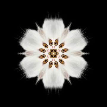 AbstractArt13 Illustrazione stock