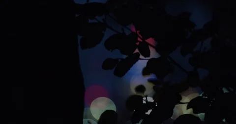 Abstracted city lights in the background behind a tree - 4k Stock Footage 70059505