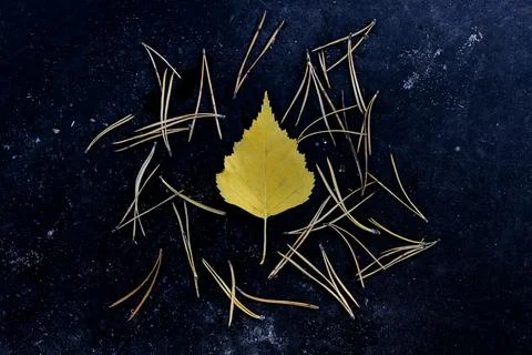 Abstraction. Autumn background. Stock Photos