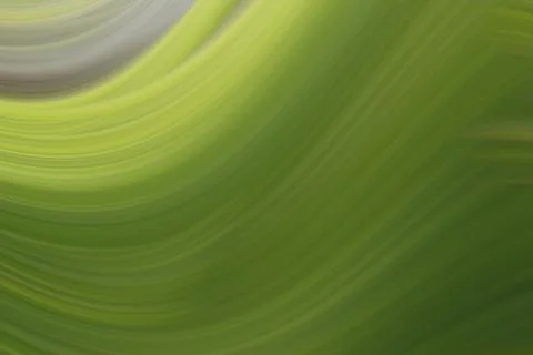 Abstraction background curve fan Stock Illustration