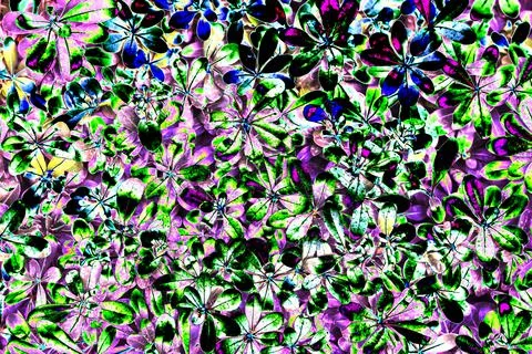 Abstraction based on a background of leaves, changed colors, bright colorful  Stock Photos