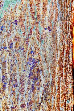 Abstraction based on a photo of a tree bark, bright multicolored background,  Stock Illustration