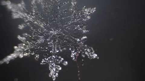 Abstraction with a blurred melting snowflake Stock Footage 105662516