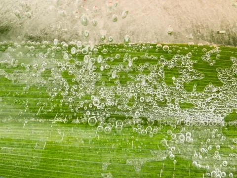 Abstraction with bubbles Stock Photos