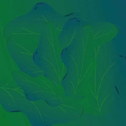 Abstraction-cabbage Stock Illustration