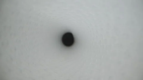 An abstraction, the camera inside a white tunnel with rapidly moving beams of li 스톡 동영상 247960702