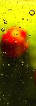 Abstraction with circular motion, bubbles and defocus. 4 Foto stock